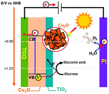 Graphical abstract: Simultaneous glucose sensing and biohydrogen evolution from direct photoelectrocatalytic glucose oxidation on robust Cu2O–TiO2 electrodes