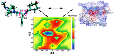 Graphical abstract: Computational study on the interaction between CCR5 and HIV-1 entry inhibitor maraviroc: insight from accelerated molecular dynamics simulation and free energy calculation