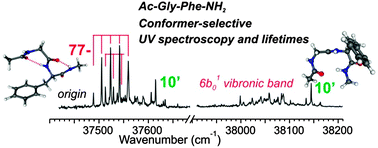 Graphical abstract: On the near UV photophysics of a phenylalanine residue: conformation-dependent ππ* state deactivation revealed by laser spectroscopy of isolated neutral dipeptides
