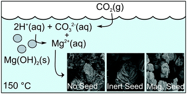 Graphical abstract: Directed precipitation of hydrated and anhydrous magnesium carbonates for carbon storage
