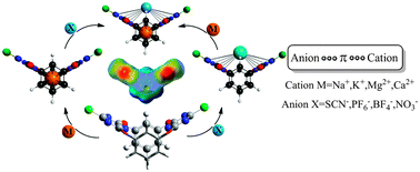Graphical abstract: The mutual interactions based on amphipathic tetraoxacalix[2]arene[2]triazine: recognition cases of anion and cation investigated by a computational study