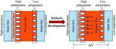 Graphical abstract: Surface polarization enhanced Seebeck effects in vertical multi-layer metal–polymer–metal thin-film devices