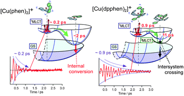 Graphical abstract: The substituent effect on the MLCT excited state dynamics of Cu(i) complexes studied by femtosecond time-resolved absorption and observation of coherent nuclear wavepacket motion