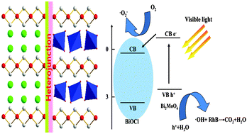 Graphical abstract: Enhancement of visible photocatalytic performances of a Bi2MoO6–BiOCl nanocomposite with plate-on-plate heterojunction structure