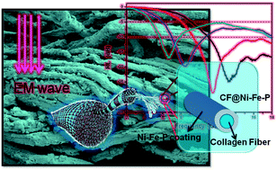 Graphical abstract: Bio-inspired fabrication of hierarchical Ni–Fe–P coated skin collagen fibers for high-performance microwave absorption