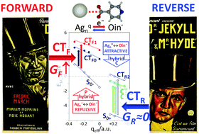 Graphical abstract: On the dual character of charged metal–molecule hybrids and the opposite behaviour of the forward and reverse CT processes