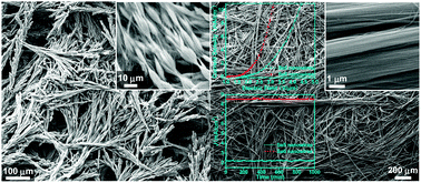 Graphical abstract: Solution-phase hierarchical self-organization of ultralong Se nanowires into diverse macroarchitectures and their enhanced field emission