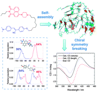 Graphical abstract: Aggregation-induced chiral symmetry breaking of a naphthalimide–cyanostilbene dyad