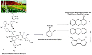 Graphical abstract: Formation of dibenzofuran, dibenzo-p-dioxin and their hydroxylated derivatives from catechol