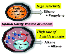 Graphical abstract: Influence of zeolite pore structure on product selectivities for protolysis and hydride transfer reactions in the cracking of n-pentane