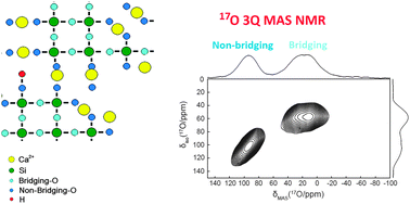 Graphical abstract: A multinuclear solid state NMR spectroscopic study of the structural evolution of disordered calcium silicate sol–gel biomaterials