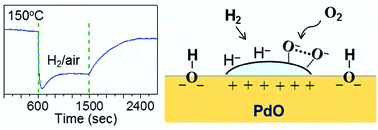 Graphical abstract: A mechanistic study of hydrogen gas sensing by PdO nanoflake thin films at temperatures below 250 °C
