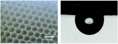 Graphical abstract: Special adhesion of natural honeycomb walls and their application