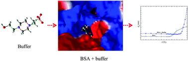 Graphical abstract: Buffers more than buffering agent: introducing a new class of stabilizers for the protein BSA