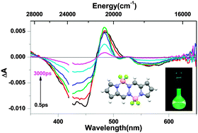 Graphical abstract: Ultrafast dynamics of a new class of highly fluorescent boron difluoride dyes