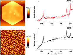 Graphical abstract: Differences in single and aggregated nanoparticle plasmon spectroscopy