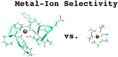 Graphical abstract: How simple is too simple? Computational perspective on importance of second-shell environment for metal-ion selectivity