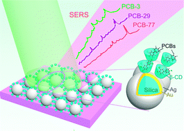Graphical abstract: β-Cyclodextrin coated SiO2@Au@Ag core–shell nanoparticles for SERS detection of PCBs