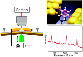 Graphical abstract: Surface enhanced Raman scattering of a single molecular junction