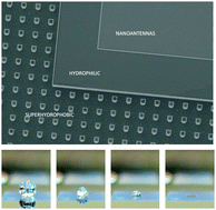 Graphical abstract: An integrated superhydrophobic-plasmonic biosensor for mid-infrared protein detection at the femtomole level