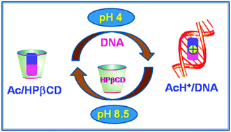 Graphical abstract: pH-Assisted control over the binding and relocation of an acridine guest between a macrocyclic nanocarrier and natural DNA