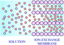 Graphical abstract: Theory of the formation of the electric double layer at the ion exchange membrane–solution interface