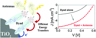 Graphical abstract: Amplification of light collection in solid-state dye-sensitized solar cells via the antenna effect through supramolecular assembly