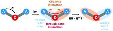 Graphical abstract: On the relation of energy and electron transfer in multidimensional chromophores based on polychlorinated triphenylmethyl radicals and triarylamines