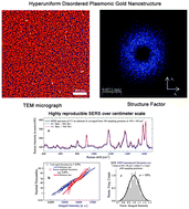 Graphical abstract: Toward hyperuniform disordered plasmonic nanostructures for reproducible surface-enhanced Raman spectroscopy