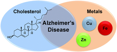 Graphical abstract: Cholesterol and metal ions in Alzheimer's disease