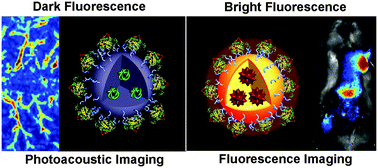Graphical abstract: Polymer-encapsulated organic nanoparticles for fluorescence and photoacoustic imaging