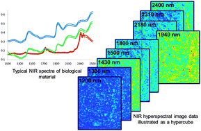 Graphical abstract: Near-infrared spectroscopy and hyperspectral imaging: non-destructive analysis of biological materials