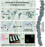 Graphical abstract: Amyloid-based nanosensors and nanodevices