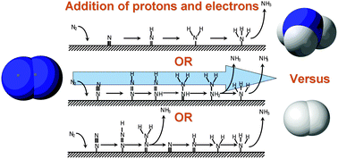 Graphical abstract: Challenges in reduction of dinitrogen by proton and electron transfer