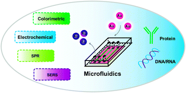 Graphical abstract: Point-of-care biochemical assays using gold nanoparticle-implemented microfluidics