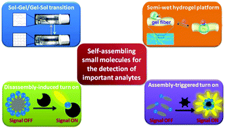 Graphical abstract: Self-assembling small molecules for the detection of important analytes
