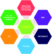 Graphical abstract: Upconverting nanoparticles: a versatile platform for wide-field two-photon microscopy and multi-modal in vivo imaging