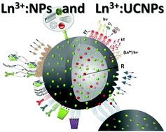 Graphical abstract: Upconverting nanoparticles: assessing the toxicity