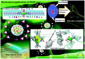 Graphical abstract: Metal–organic molecular cages: applications of biochemical implications