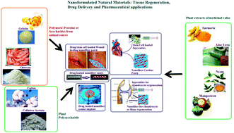 Graphical abstract: Electrosprayed nanoparticles and electrospun nanofibers based on natural materials: applications in tissue regeneration, drug delivery and pharmaceuticals