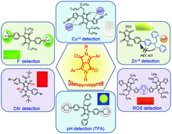 Graphical abstract: Diketopyrrolopyrrole: brilliant red pigment dye-based fluorescent probes and their applications