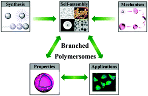 Graphical abstract: Hyperbranched polymer vesicles: from self-assembly, characterization, mechanisms, and properties to applications