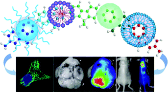 Graphical abstract: Soft fluorescent nanomaterials for biological and biomedical imaging