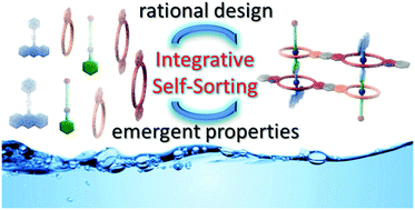 Graphical abstract: Integrative self-sorting: a versatile strategy for the construction of complex supramolecular architecture