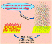 Graphical abstract: Controlled decoration of the surface with macromolecules: polymerization on a self-assembled monolayer (SAM)