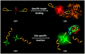 Graphical abstract: Specific light-up bioprobes based on AIEgen conjugates