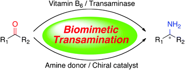 Graphical abstract: Progress in asymmetric biomimetic transamination of carbonyl compounds