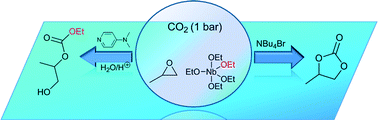 Graphical abstract: Nucleophile-directed selectivity towards linear carbonates in the niobium pentaethoxide-catalysed cycloaddition of CO2 and propylene oxide