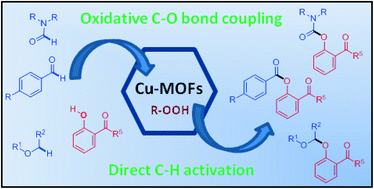 Graphical abstract: Cu-MOFs as active, selective and reusable catalysts for oxidative C–O bond coupling reactions by direct C–H activation of formamides, aldehydes and ethers