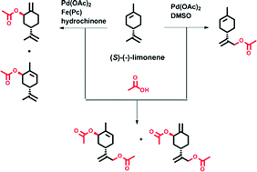 Graphical abstract: Regioselective catalytic acetoxylation of limonene
